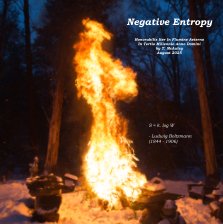 Negative Entropy book cover