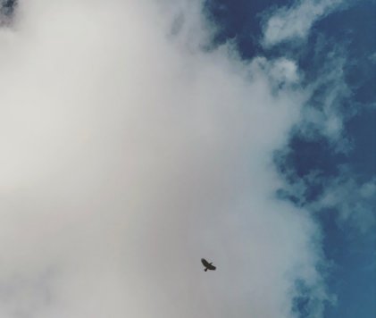 just a faiz 2021 - 2023 book cover