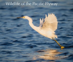Wildlife of the Pacific Flyway book cover